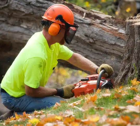 tree services Hopewell